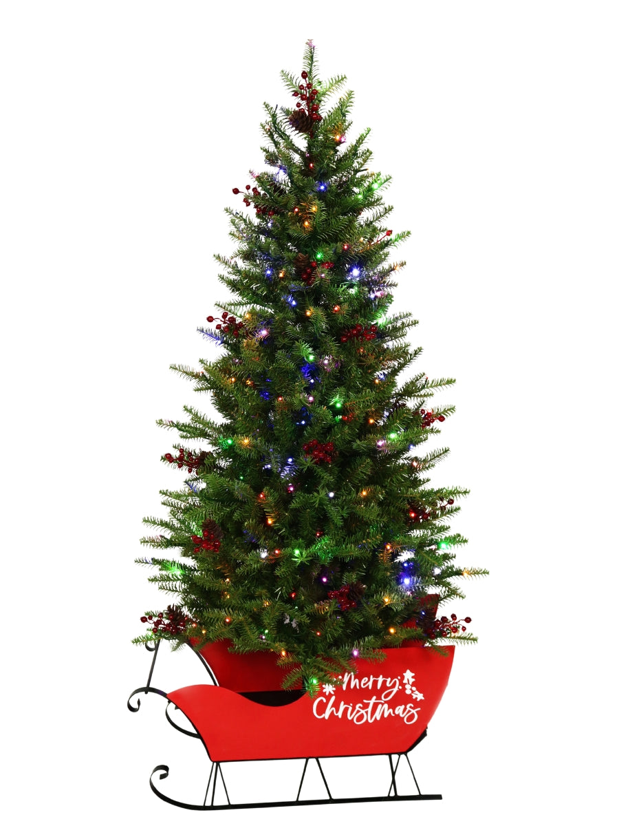 5' Mountain Green Fir in Sleigh